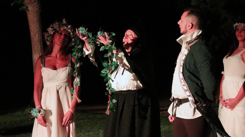 La festa té com a protagonista la Vella de l'Estany