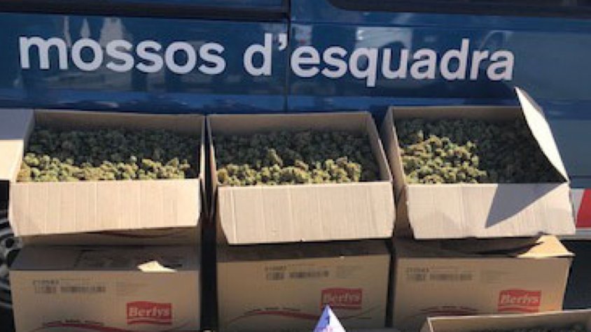 Imatge d'un decomís a Tarragona l'any 2019