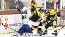 Victòria clara del sènior del Club Gel Puigcerdà, 7-2, contra el Txuri Urdin