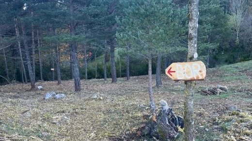Coll de la Cogolera