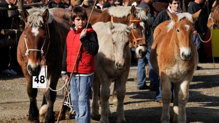 La Fira de Salàs (Pallars Jussà), una de les activitats subvencionades