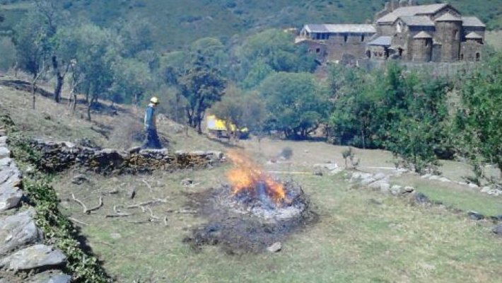 Crema de restes vegetals