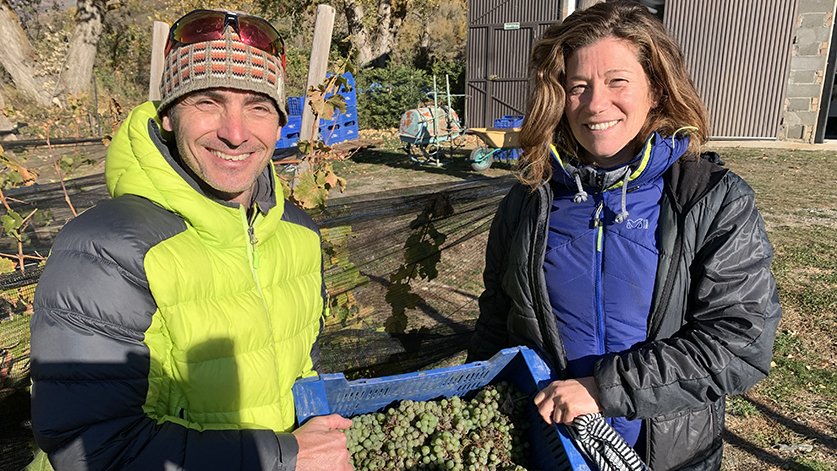 Rigau i Baqués, al celler Llivins