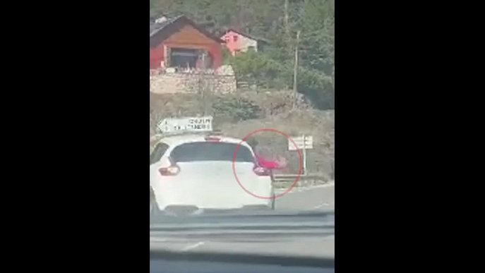 L'ensurt va tenir lloc a la N-260 en terme municipal de Bellver de Cerdanya