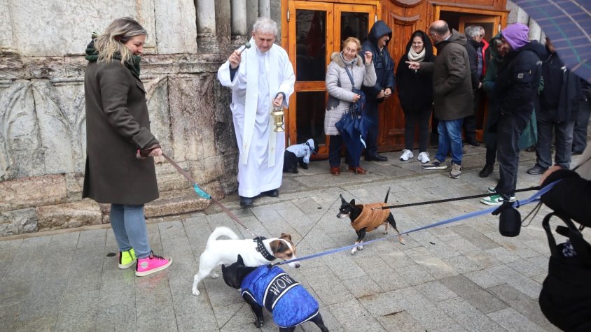 Un dels moments de la celebració: la benedicció dels animals