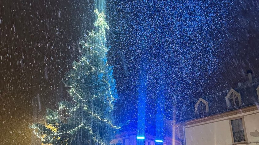 L'Arbre dels desitjos de Puigcerdà