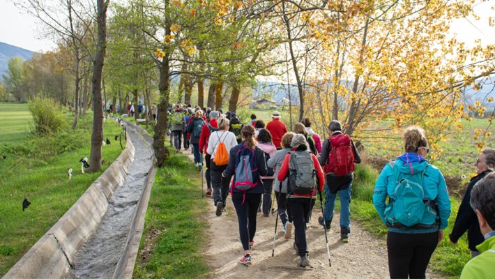 La Caminada de la Sèquia bat rècords amb més de 450 participants en la seva 13a edició