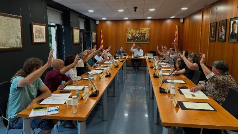 Els alcaldes ho han acordat per unanimitat