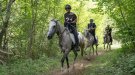 Ripoll galopa a ritme del 28è Raid Hípic Internacional