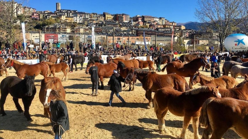 Una edició anterior del concurs de cavalls de Puigcerdà