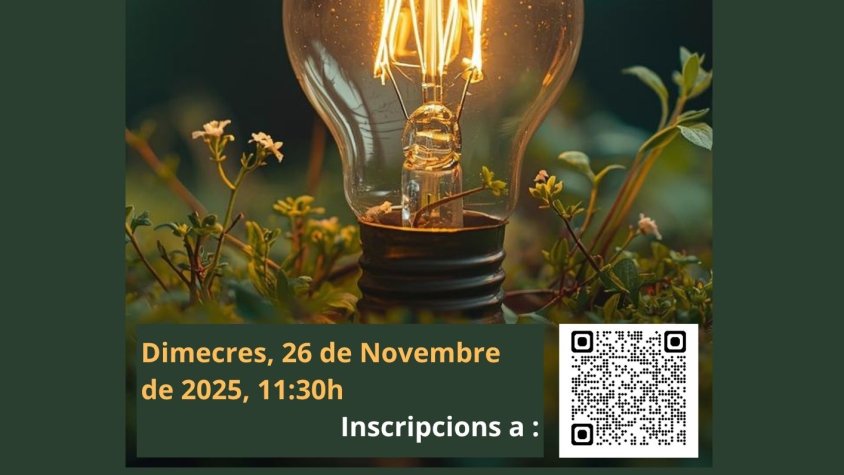 La Cerdanya impulsa la transició energètica empresarial amb una jornada informativa online