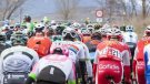  La Molina i Coll de Pal, protagonistes clau de la Volta Ciclista a Catalunya 2026