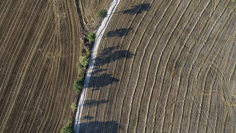Parcel·les agrícoles catalanes recollides amb la DUN.