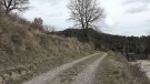 El bike park reapareix al debat polític de Ripoll